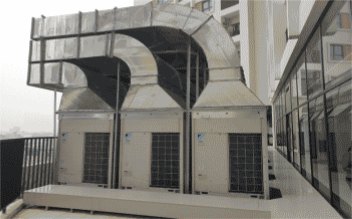 Đặt ngoài trời với mật độ lớn và gần nhau
